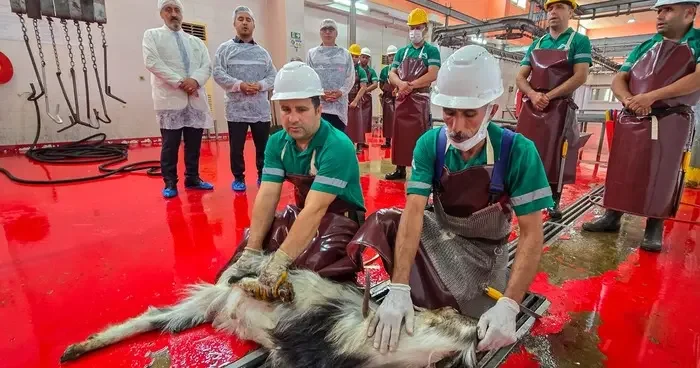 Mersin de şehitlerin anısına kurban kesildi