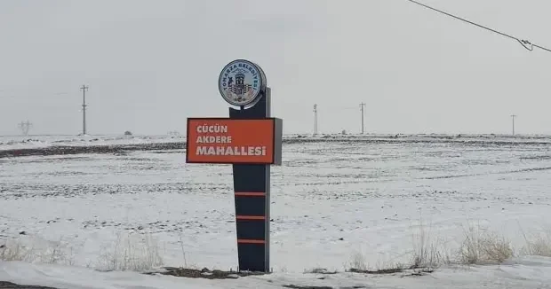 Kayseri haberleri Tehlike yayılıyor: Kayseri de ikinci kene vakası 05 Haziran 2025