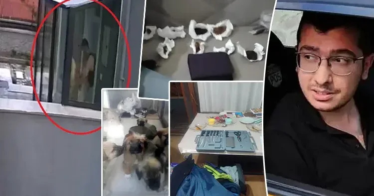 Sahiplendiği hayvanları katletmişti İğrenç detaylar ortaya çıktı... İşte istenen ceza