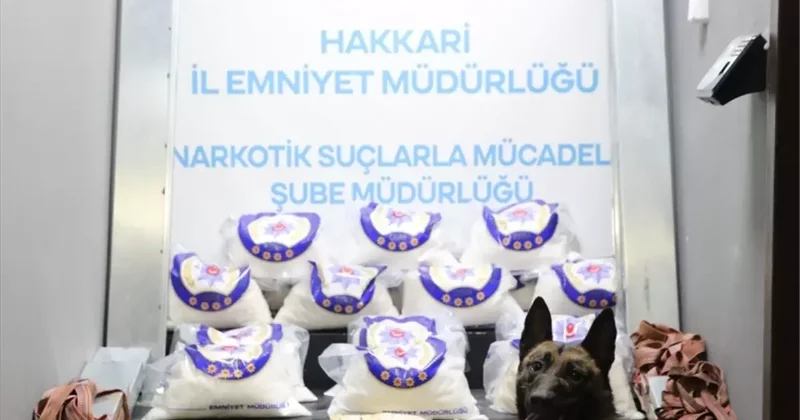 Tırın içine gizlenmiş 66 kilo uyuşturucu madde ele geçirildi
