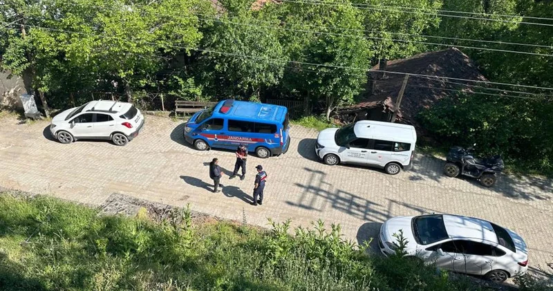Karabük teki köpek ölümleriyle ilgili inceleme başlatıldı