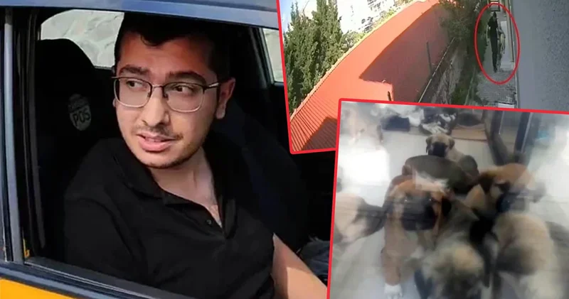 Yavru köpekleri sahiplenip evde parçalayan doktorla ilgili kan donduran yeni detay: Cinsel istismarda bulunmuş!