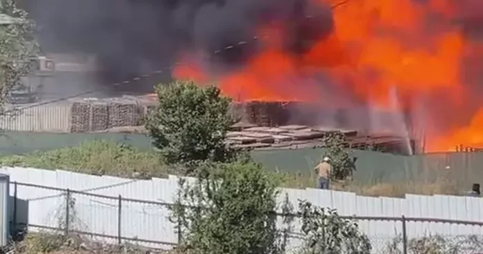 Son dakika Kocaeli’de palet depolama sahasında yangın! Kapkara dumanlar yükseliyor