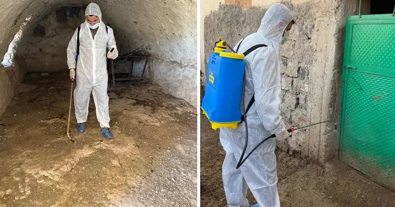 Şırnak ta şap hastalığı tespit edildi, bir köy karantinaya alındı