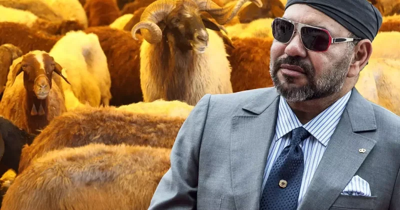 Fas ta kurban pazarları kapatıldı! Sadece Kral sembolik kesim yapacak