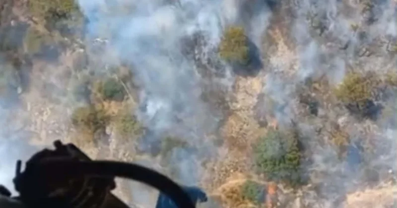 İzmir de makilik yangını! 1 saatte kontrol altına alındı Sözcü Gazetesi