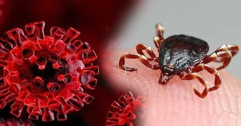 Bakanlık uyarmıştı: Keneden bulaşan KKKA bir can daha aldı