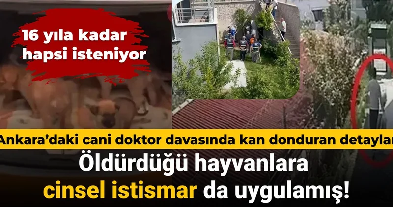 Ankara’daki cani doktor davasında kan donduran detaylar: Öldürdüğü hayvanlara cinsel istismar da uygulamış
