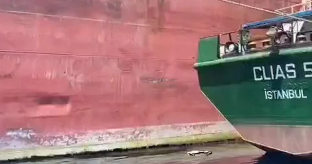Bozcaada açıklarında denize slaç basan gemiye 8 milyon TL ceza VİDEO İZLE