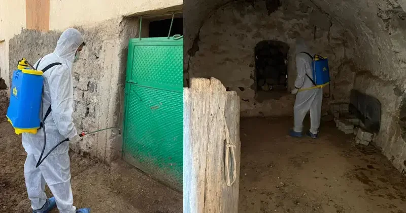 Şırnak ta şap hastalığı görülen köye hayvan giriş çıkışları yasaklandı