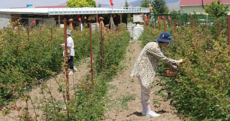 5 yıl önce hobi olarak başladı; şimdi taleplere yetişemiyor
