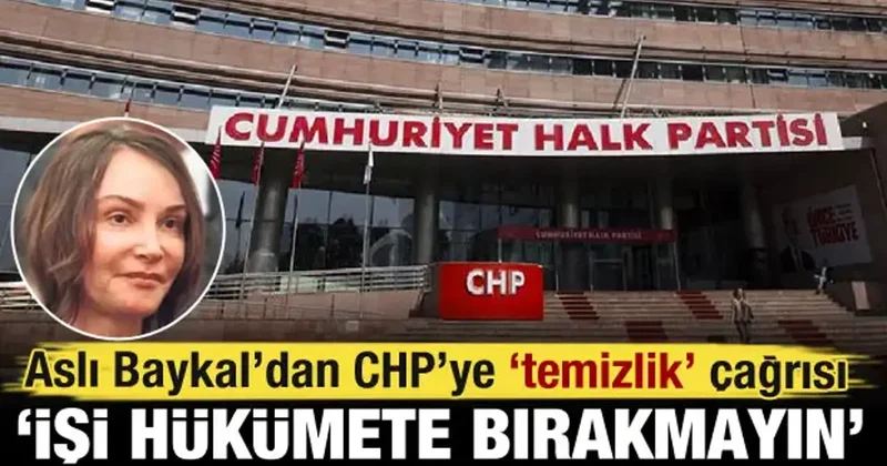 Aslı Baykal dan CHP ye temizlik çağrısı: İşi hükümete bırakmayın