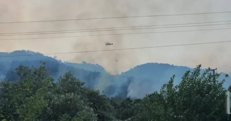 Dörtyol da Orman Yangını Devam Ediyor