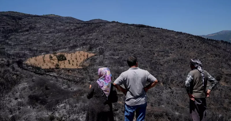 Yangında etrafındaki araziler kül oldu, 4 dönümlük bahçesi alevlerden etkilenmedi!