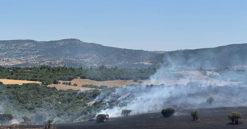 Yangına neden oolan 2 kardeş tutuklandı