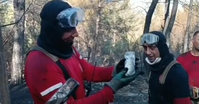 İzmir de orman yangınında can çekişirken bulunan balığı itfaiye kurtardı İzmir Haberleri