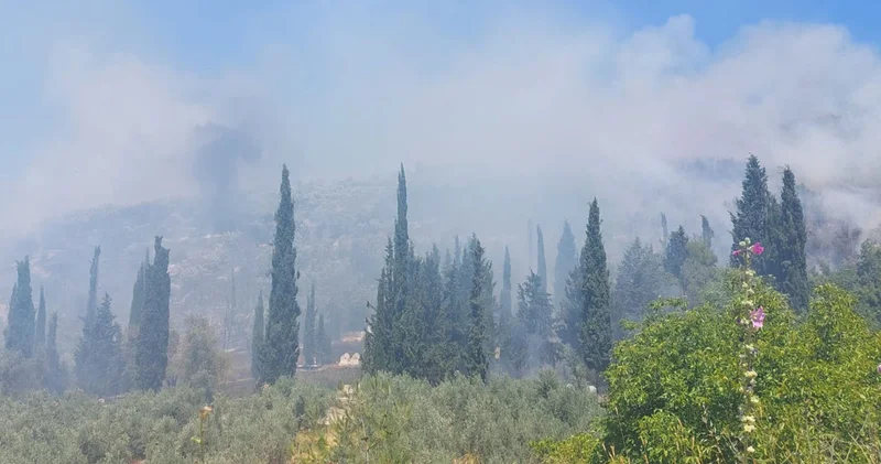 Bursa da çıkan orman yangınına ilişkin 1 şüpheli tutuklandı