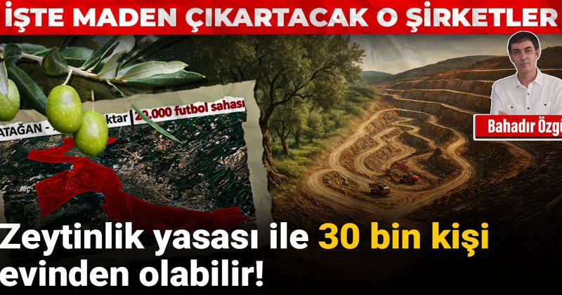 Zeytinlik yasası ile 30 bin kişi evinden olabilir! İşte maden çıkartacak o şirketler