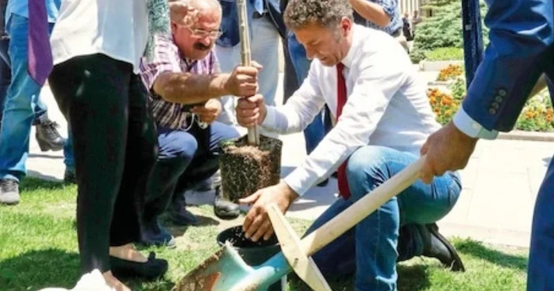 Meclis e 8 sene önce dikilen zeytin ağacı söküldü