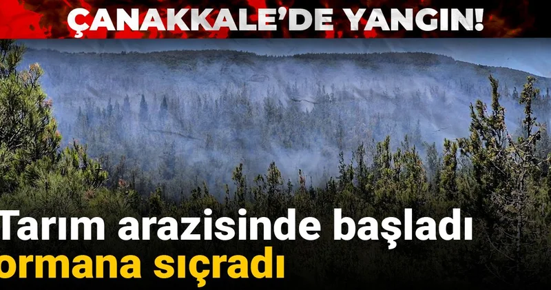 Çanakkale’de yangın! Tarım arazisinde başladı, ormana sıçradı
