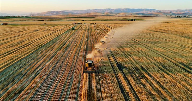 IPARD III te destek miktarı 343 milyon euroya ulaştı