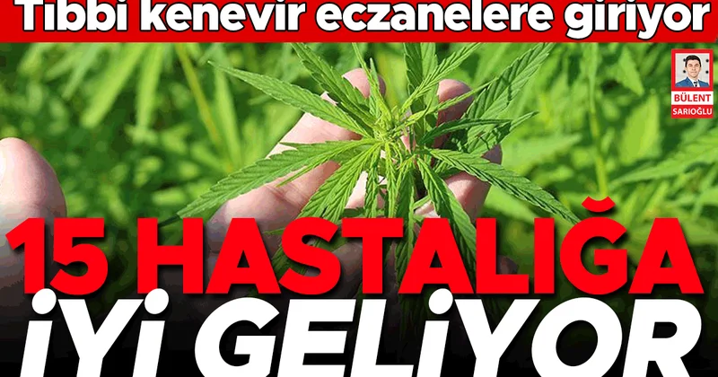Tıbbi kenevir eczanelere giriyor