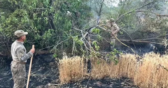 Eskişehir’den Bilecik yangınına giden jandarma ekipleri döndü