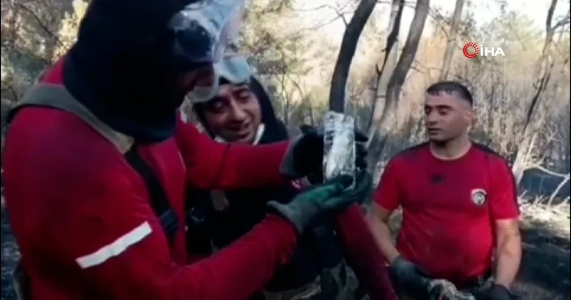 İzmir yangınında itfaiyeciler balığı kurtardı