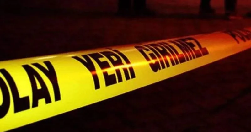 Yola çıkan domuz can aldı: Motosiklet sürücüsü yaşamını yitirdi