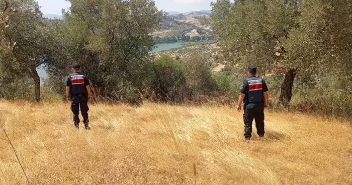 Aydın’da ormanlar jandarma gözetiminde