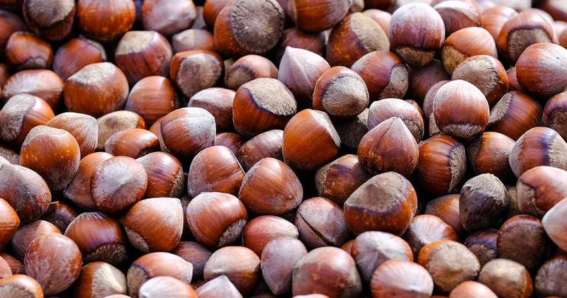 Fındık alım fiyatı belli oldu