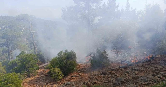 Denizli’de günler önce düşen yıldırım orman yangınına neden oldu Denizli Haberleri