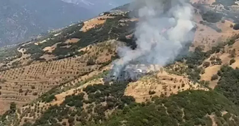 Aydın da zeytinlik yangını