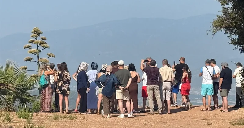 Antalya da 30 yıl sonra görüldü, turistler görmek için oraya akın etti Sözcü Gazetesi
