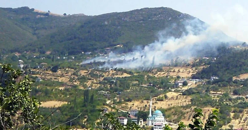Geyve de korkulan olmadı! Ormana sıçramadan söndürüldü