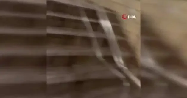 ABD’de banliyödeki yangın paniğe neden oldu