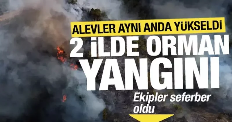 Karabük ve Denizli de aynı anda orman yangını! Ekipler sevk edildi