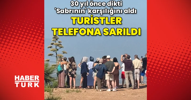 30 yıl önce dikti, sabrının karşılığını aldı! Turistler telefona sarıldı
