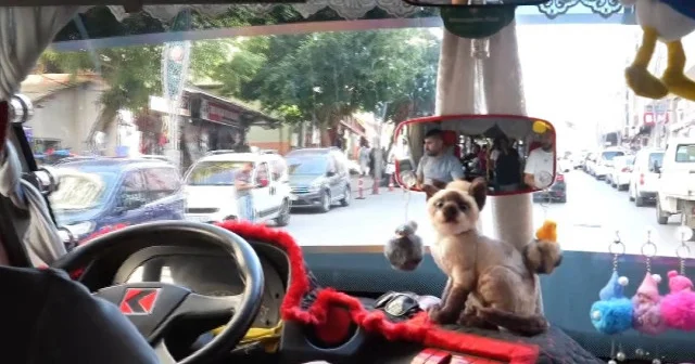 Muş un oyuncaklı minibüs şehrin ilgi odağı oldu VİDEO İZLE