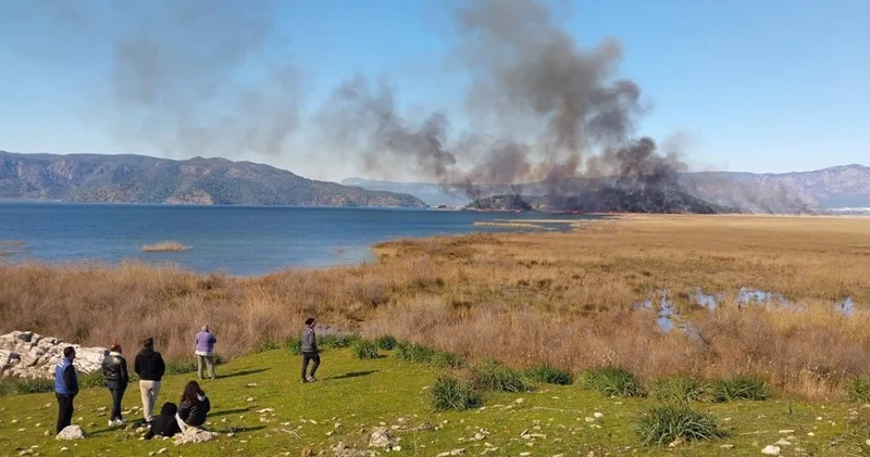 Muğla’da 1 hektarlık alan yandı!