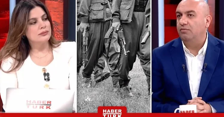 Silah Bırakma Ne Zaman Tamamlanır?