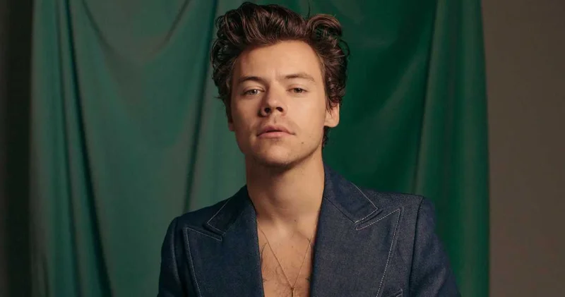 Harry Styles aynı sokakta dördüncü evini aldı! Planı ortaya çıktı