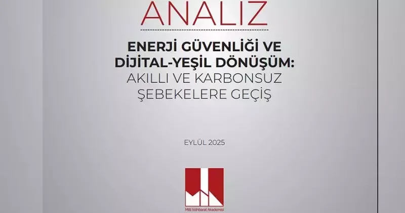 Milli İstihbarat Akademisi nden enerji güvenliği analizi