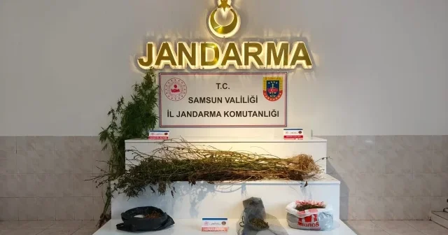 Samsun da zehir tacirlerine darbe Samsun Haberleri