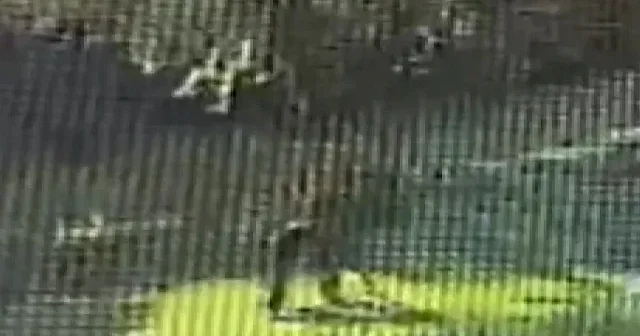 Şişli de ağaçlık alanlarda yangın çıkaran şahsın görüntüsü kameraya yansıdı VİDEO İZLE