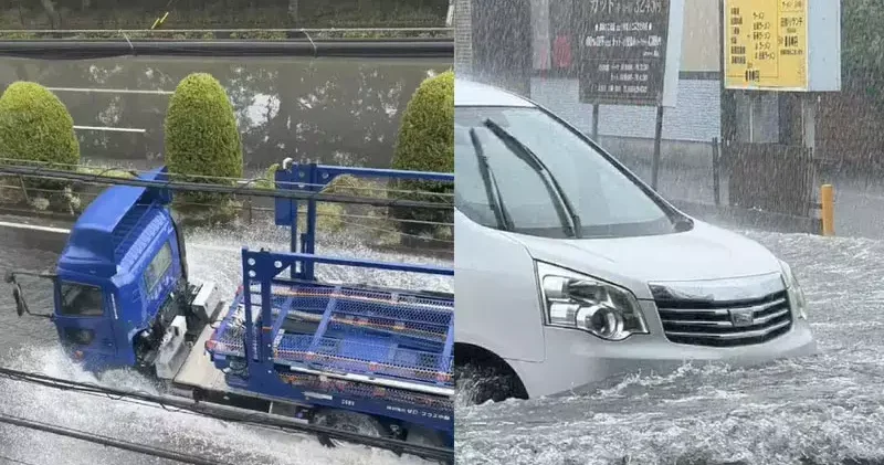 Japonya’da Wipha tayfunu uyarısı