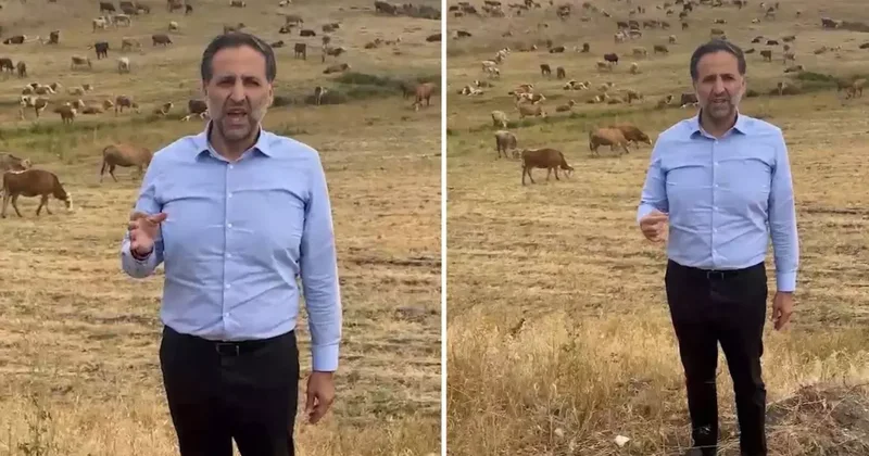 Arkasına hayvan sürüsünü alan vekil, Bakan Yumaklı ya seslendi: Bu zararı karşılayın