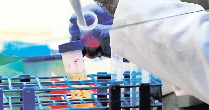 Kanser tedavisinde umut veren gelişme