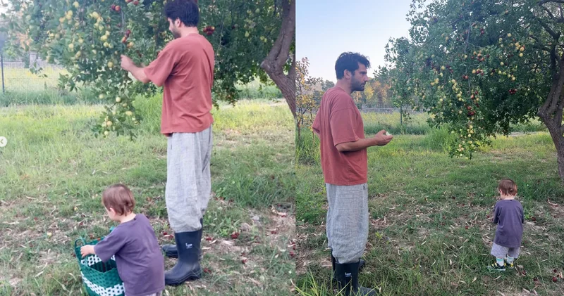 Kaan Urgancıoğlu oğlu Ardıç ile ağaçtan meyve topladı