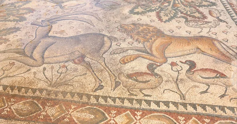Fidan dikerken tesadüfen fark edildi; 1700 yıllık geçmişe sahip